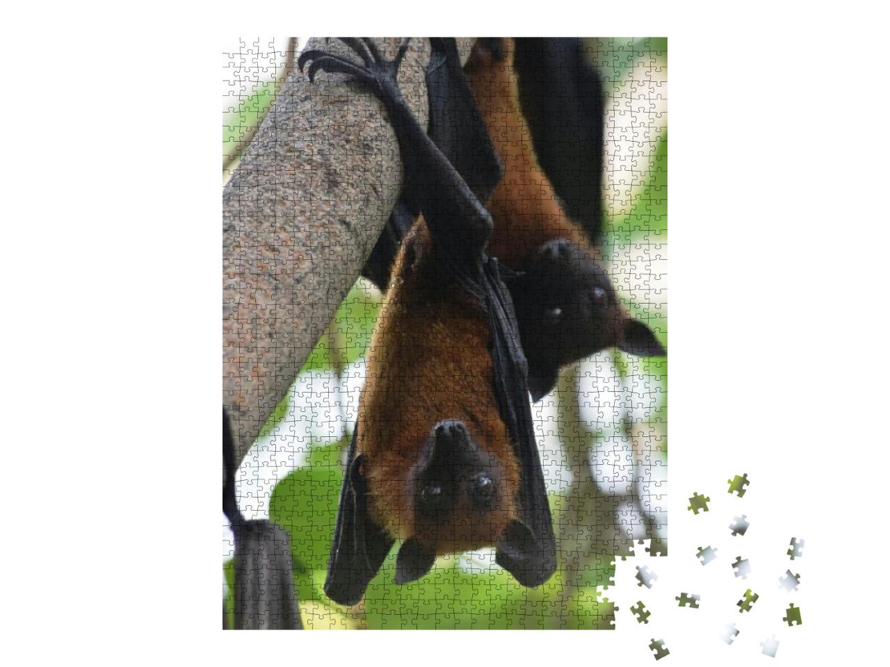 Two Bats Indian Flying Fox Hanging At a Tree in a Forest... Jigsaw Puzzle with 1000 pieces