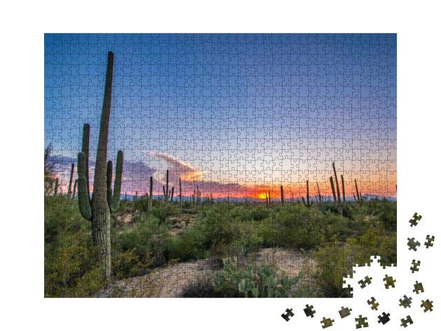 Tucson, Arizona... Jigsaw Puzzle with 1000 pieces