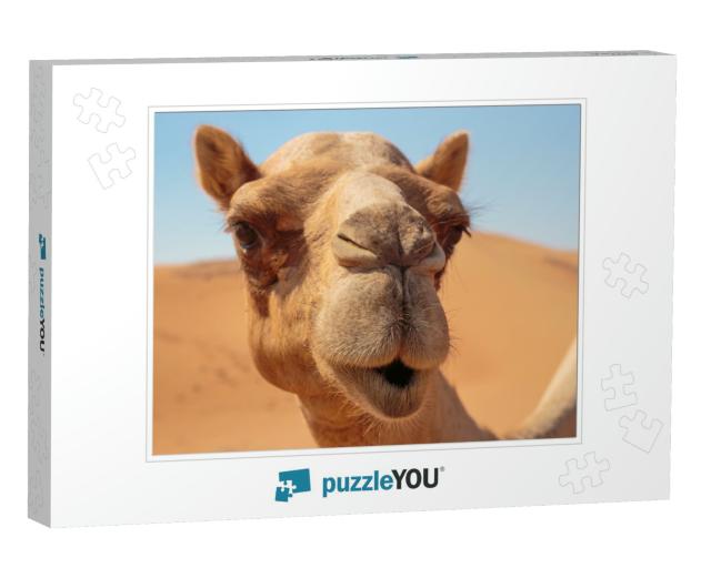 Camels in the Desert... Jigsaw Puzzle