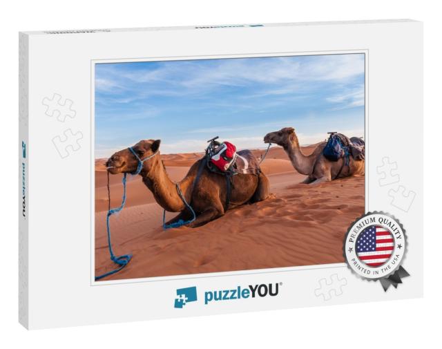 Camel Caravan in the Sahara of Morocco... Jigsaw Puzzle