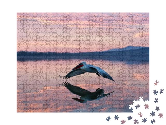 Pelican Flying Over Water in Sunrise, Pelican in Sunrise... Jigsaw Puzzle with 1000 pieces