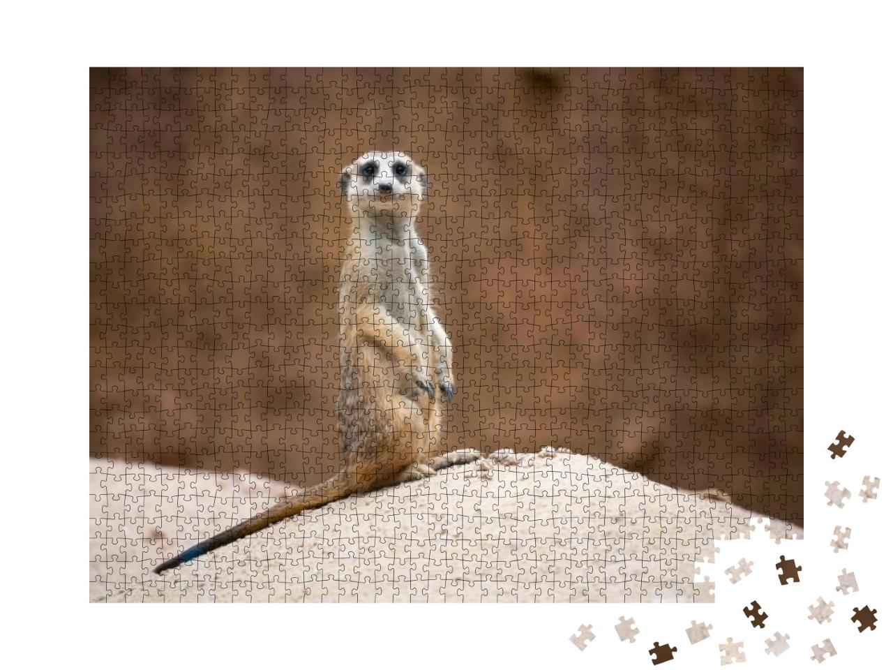 Cute Meerkat Suricata Suricatta Standing on the Rock... Jigsaw Puzzle with 1000 pieces