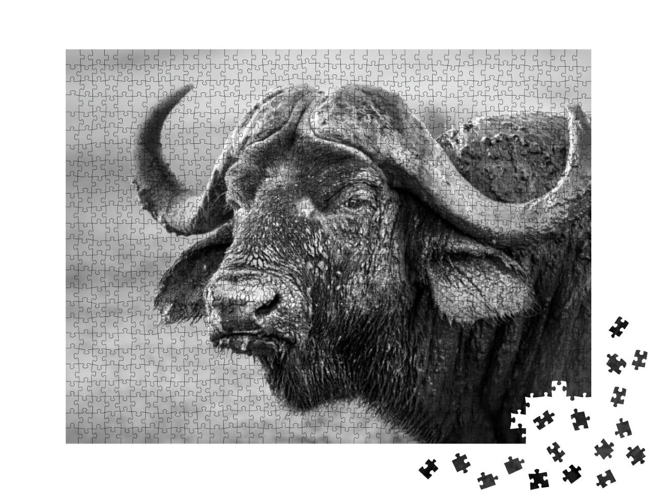 Buffalo Covered in Mud, South Africa... Jigsaw Puzzle with 1000 pieces