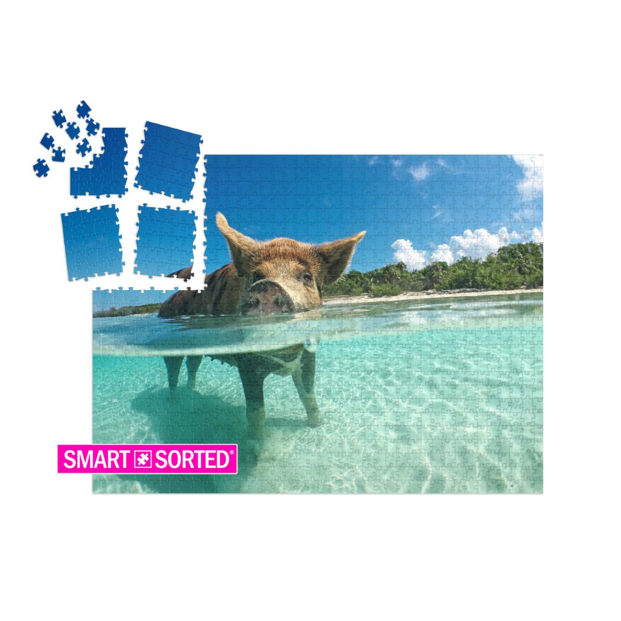 Wild, Swimming Pig on Big Majors Cay in the Bahamas... | SMART SORTED® | Jigsaw Puzzle with 1000 pieces