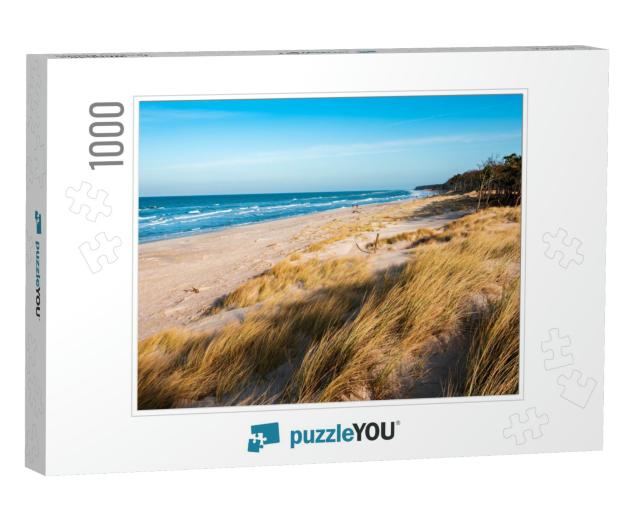 Coastal Dunes by the Baltic Sea, Darss Peninsula, Germany... Jigsaw Puzzle with 1000 pieces