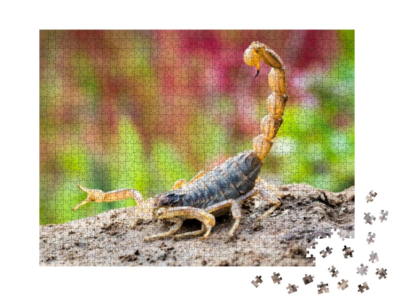 Scorpion in Attack Position... Jigsaw Puzzle with 1000 pieces