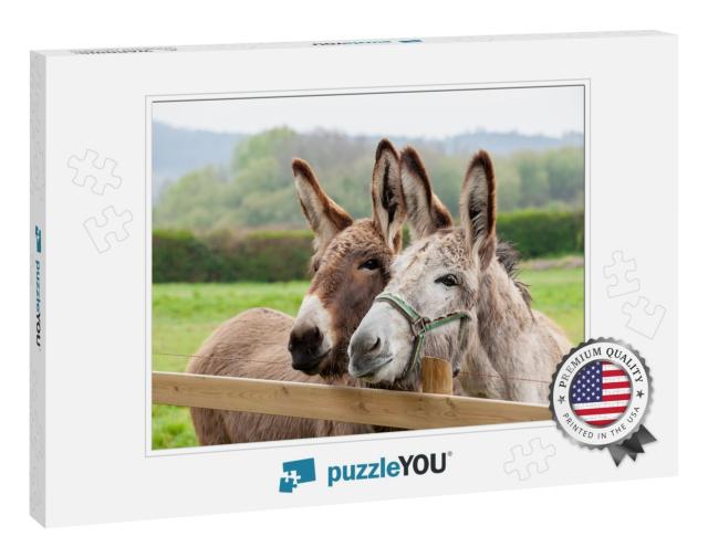 Family of Donkeys Outdoors in Spring. Couple of Donkeys o... Jigsaw Puzzle