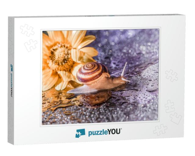 Brown Snail is Crawling Against the Backdrop of Shiny Bri... Jigsaw Puzzle