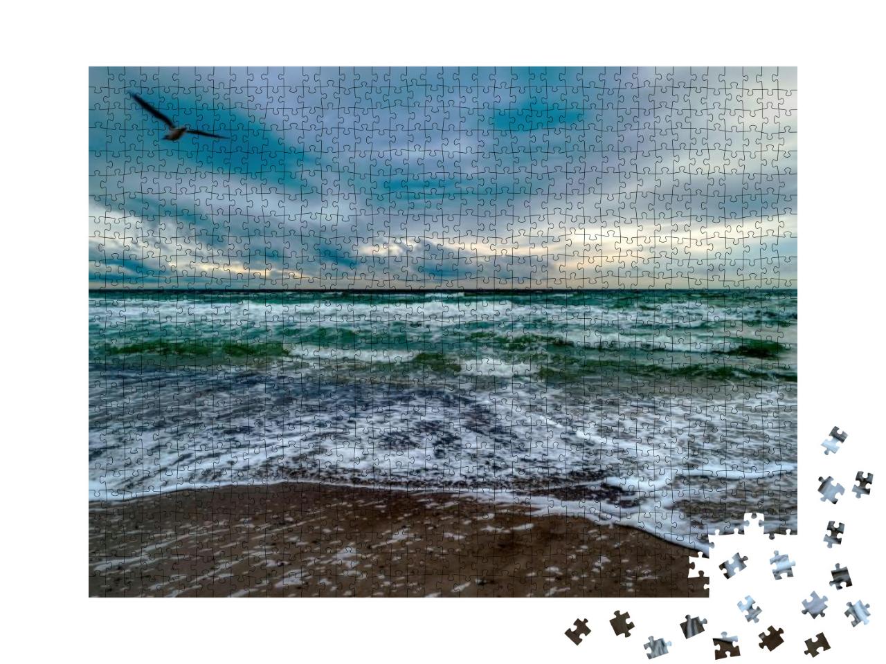 Baltic Sea Coast Near Ahrenshoop in Germany... Jigsaw Puzzle with 1000 pieces