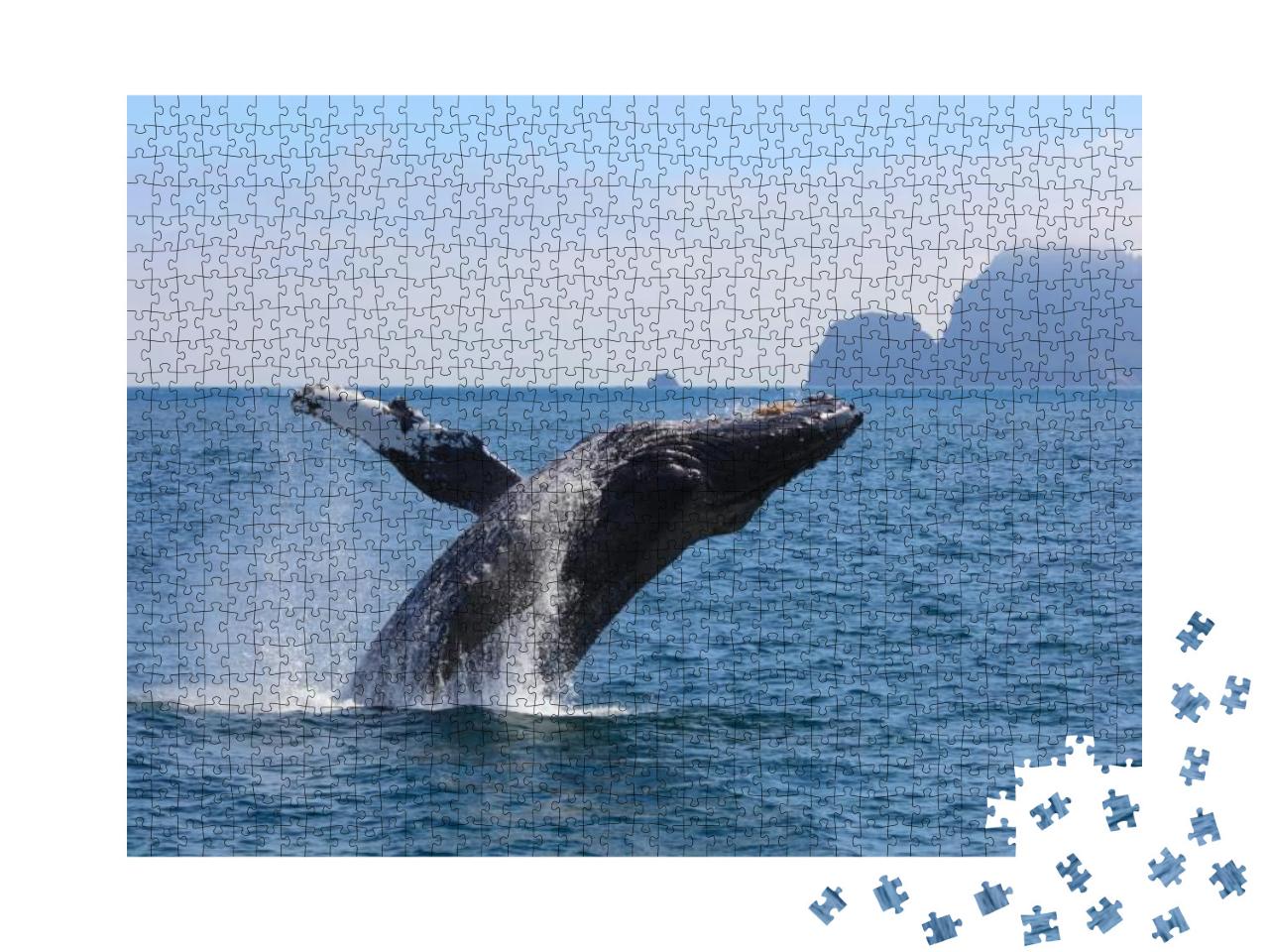 Humpback Whale Breaching Kenai Fjords National Park Alask... Jigsaw Puzzle with 1000 pieces