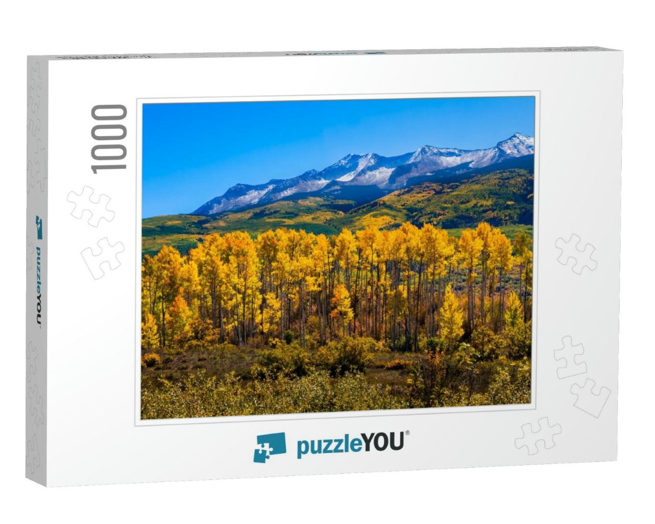 Beautiful Colorado with Aspen Trees in Autumn... Jigsaw Puzzle with 1000 pieces