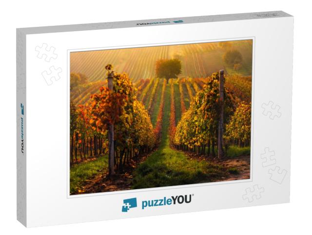 Autumn in Moravian Vineyards Near Velke Bilovice in Czech... Jigsaw Puzzle