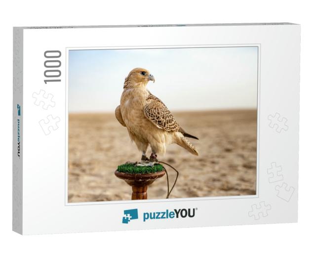 White & Beige Falcon Sitting in the Desert... Jigsaw Puzzle with 1000 pieces
