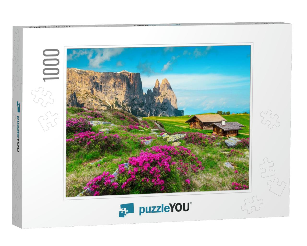 Alpe Di Siusi Mountain Resort with Amazing Flowery Fields... Jigsaw Puzzle with 1000 pieces
