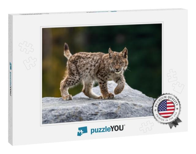 Lynx in Green Forest with Tree Trunk. Wildlife Scene from... Jigsaw Puzzle