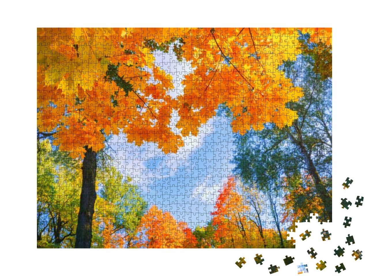 Autumn Background Landscape. Yellow Color Tree, Red Orang... Jigsaw Puzzle with 1000 pieces