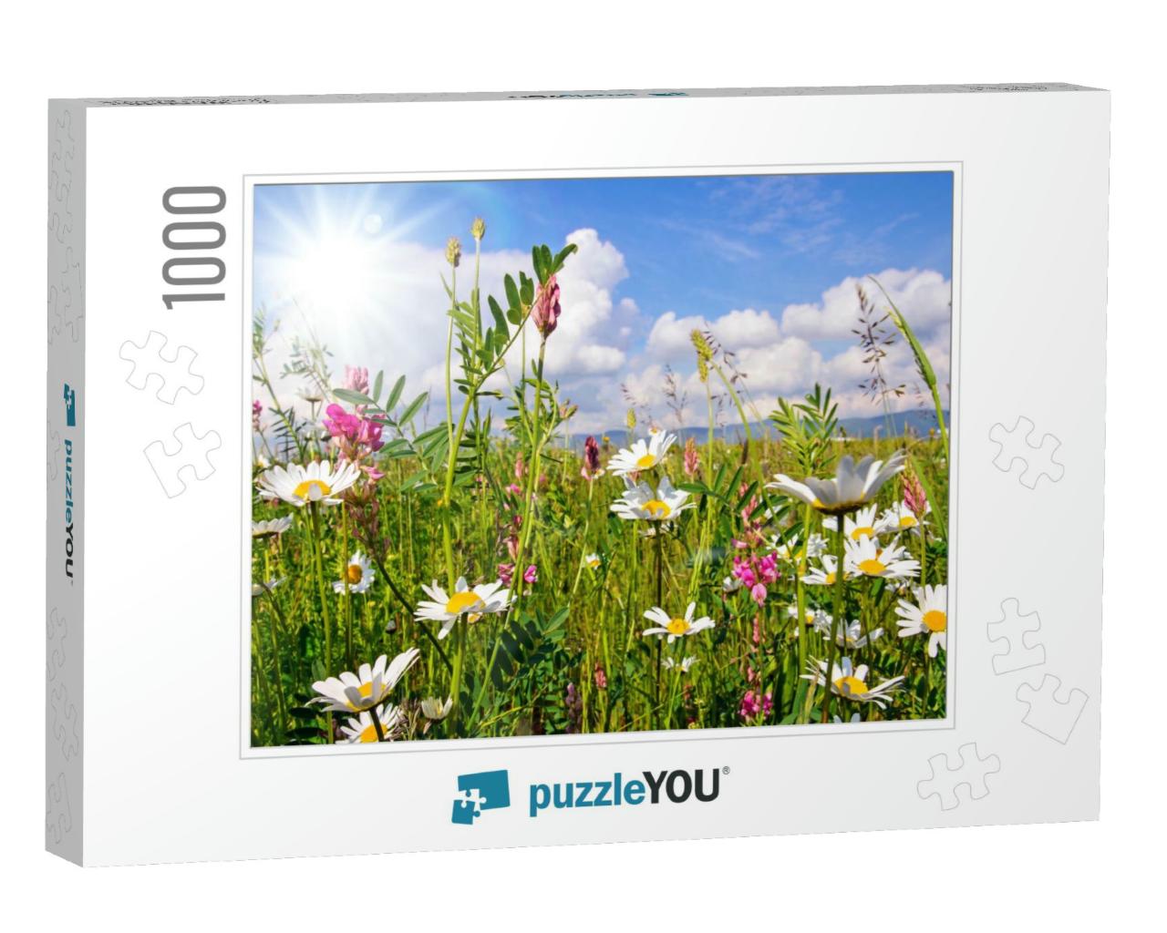 Beautiful Flower Meadow in Summer with Bright Daisies Und... Jigsaw Puzzle with 1000 pieces