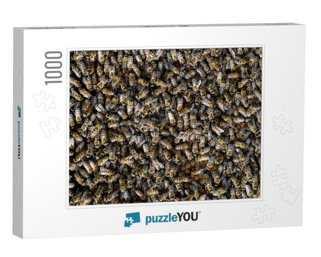 A Dense Cluster of Swarms of Bees in the Nest. Working Be... Jigsaw Puzzle with 1000 pieces