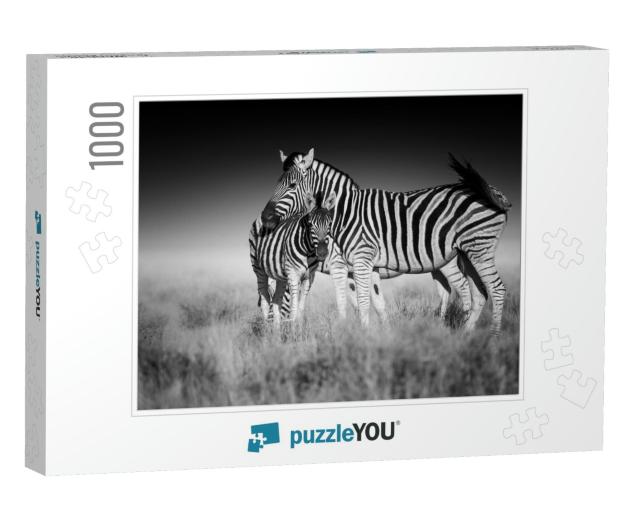 Fine Art, Black & White Photo of Two Burchells Zebra, Equ... Jigsaw Puzzle with 1000 pieces