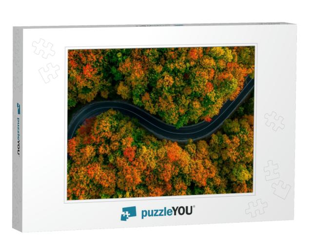 Aerial View of Thick Forest in Autumn with Road Cutting T... Jigsaw Puzzle