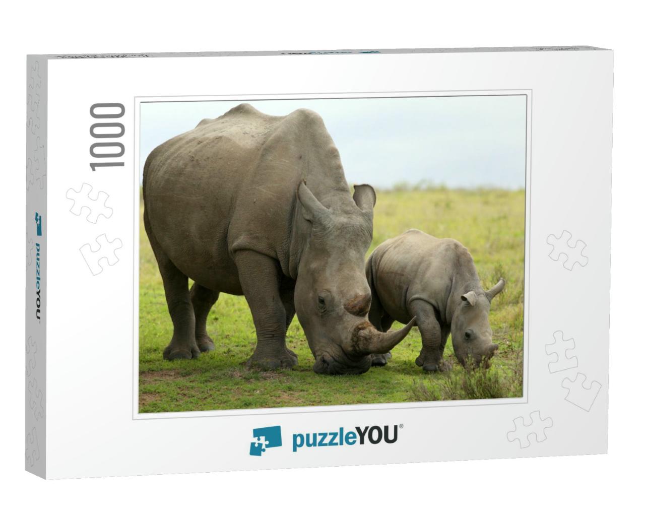 A Close Up of a Female Rhino / Rhinoceros & Her Calf. Sho... Jigsaw Puzzle with 1000 pieces