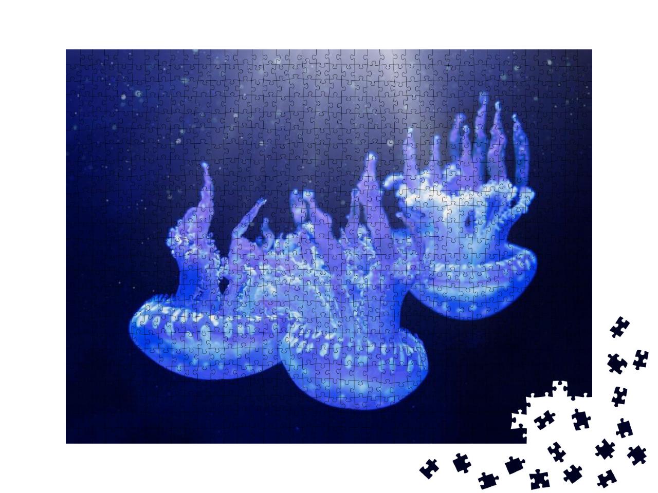 Jellyfish Underwater. Spotted Lagoon Jellyfish Mastigias... Jigsaw Puzzle with 1000 pieces