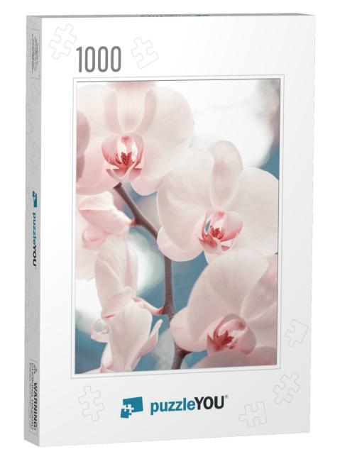 Tender Pink Phalaenopsis Orchid on Blurred Background. So... Jigsaw Puzzle with 1000 pieces