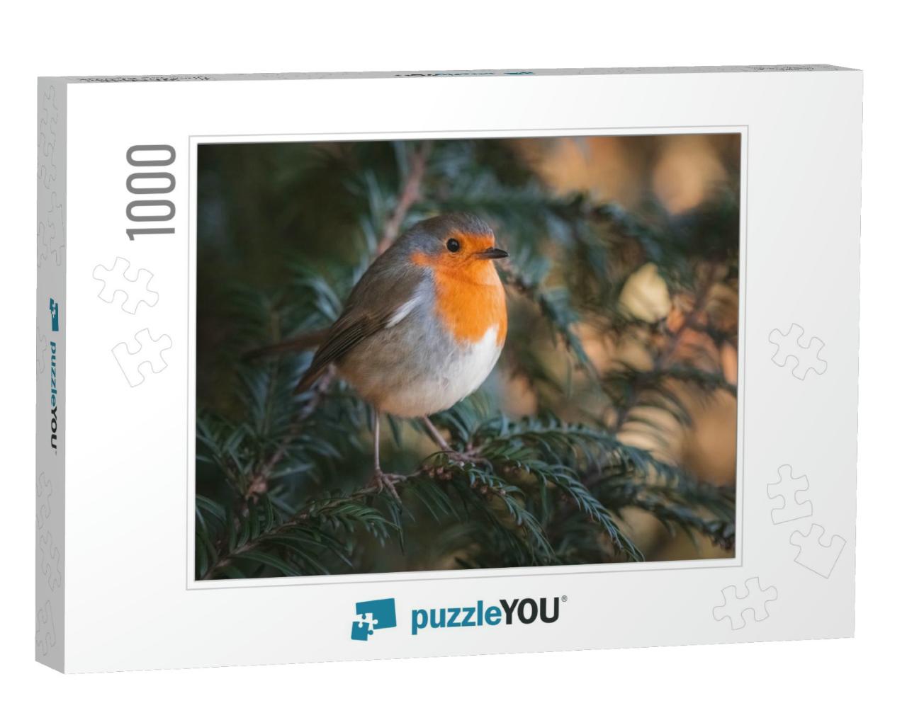 A Robin Sitting on a Green Branch... Jigsaw Puzzle with 1000 pieces