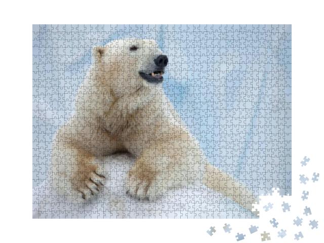 Portrait of Large White Bear on Ice... Jigsaw Puzzle with 1000 pieces