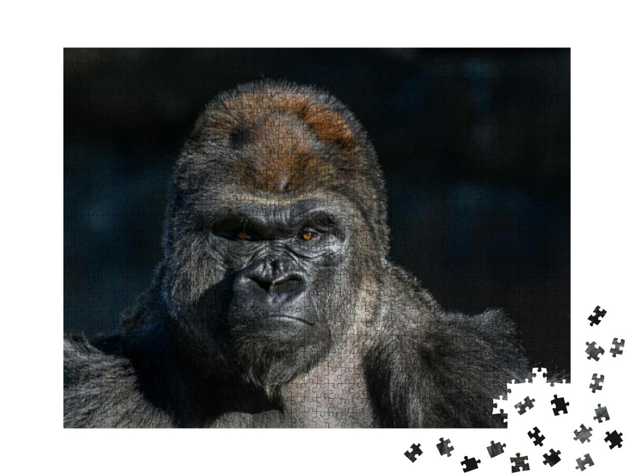 Western Lowland Gorilla , Gorilla, Gorilla with Strong, A... Jigsaw Puzzle with 1000 pieces