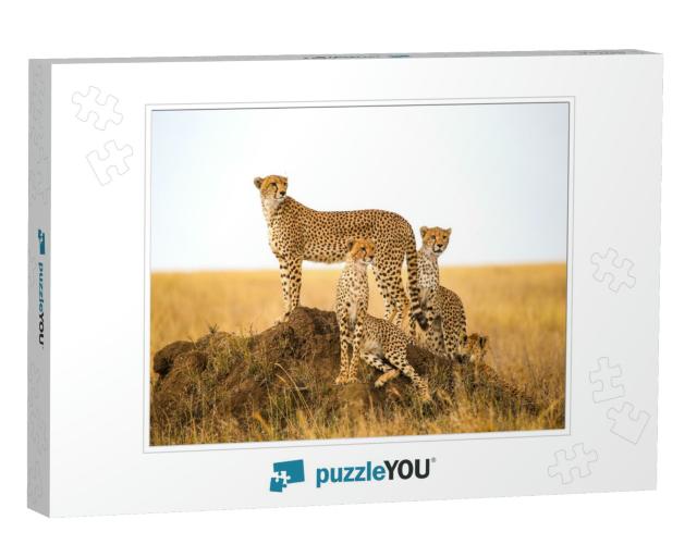 Cheetahs Watching Prey in Serengeti National Park, Tanzan... Jigsaw Puzzle