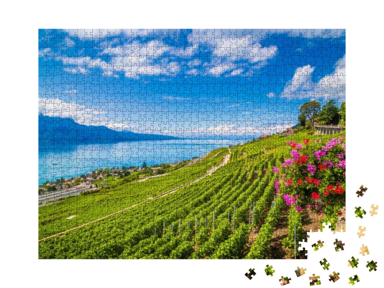 Beautiful Scenery with Rows of Vineyard Terraces in Famou... Jigsaw Puzzle with 1000 pieces