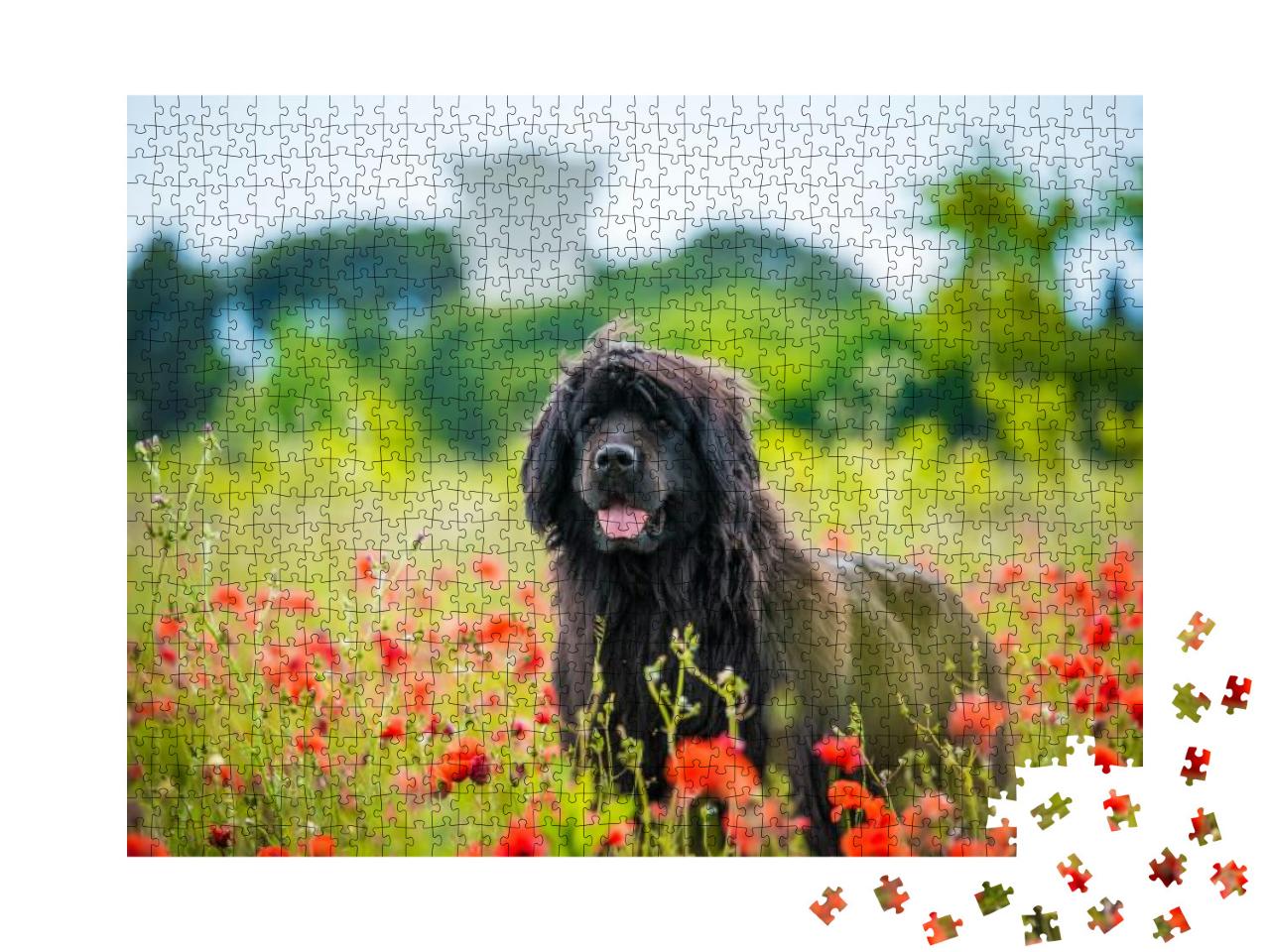 Newfoundland Dog Santa Christmas Cute Christmas Valentine... Jigsaw Puzzle with 1000 pieces