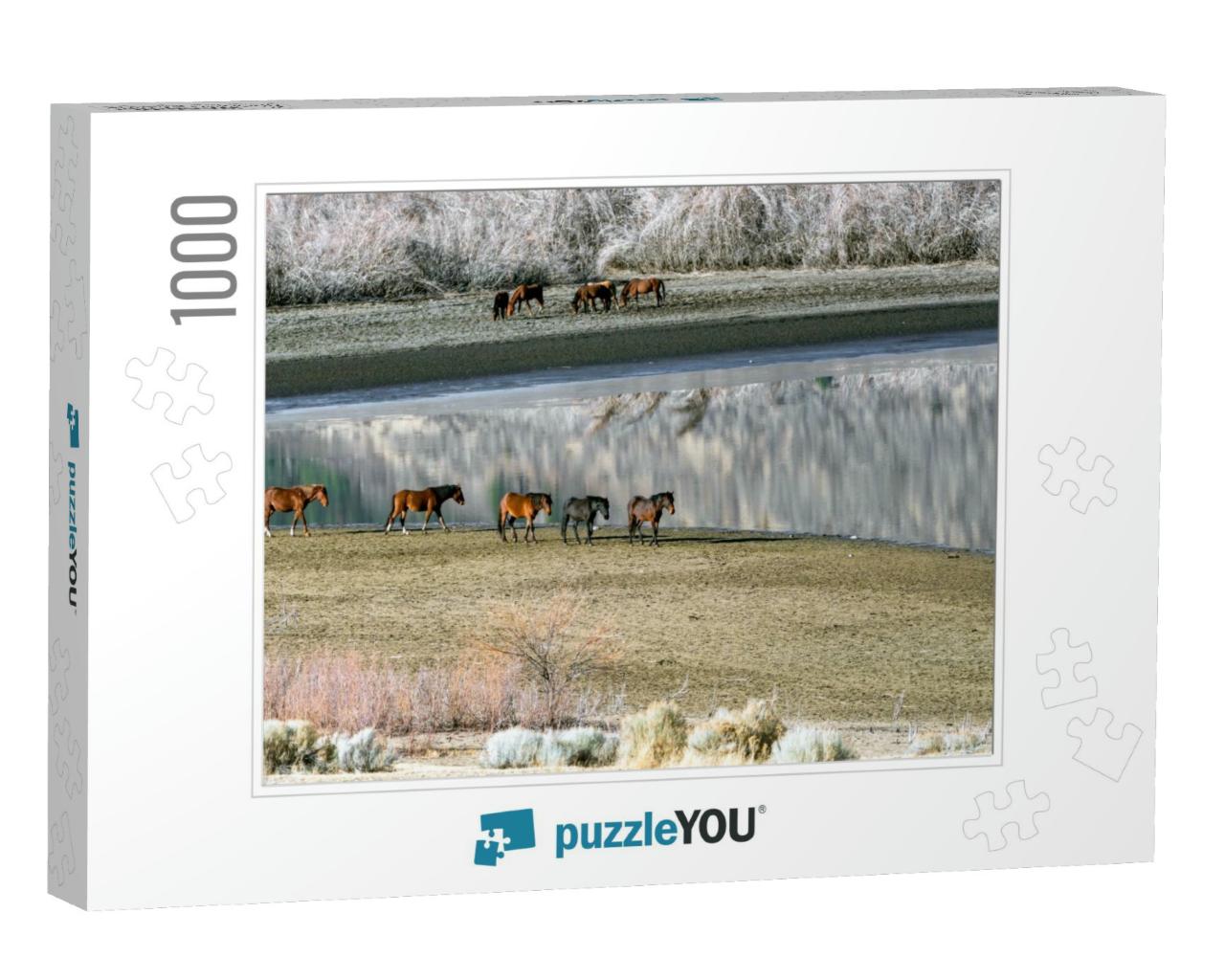 Wild Mustang Horses Walking Along Washoe Lake in Northern... Jigsaw Puzzle with 1000 pieces