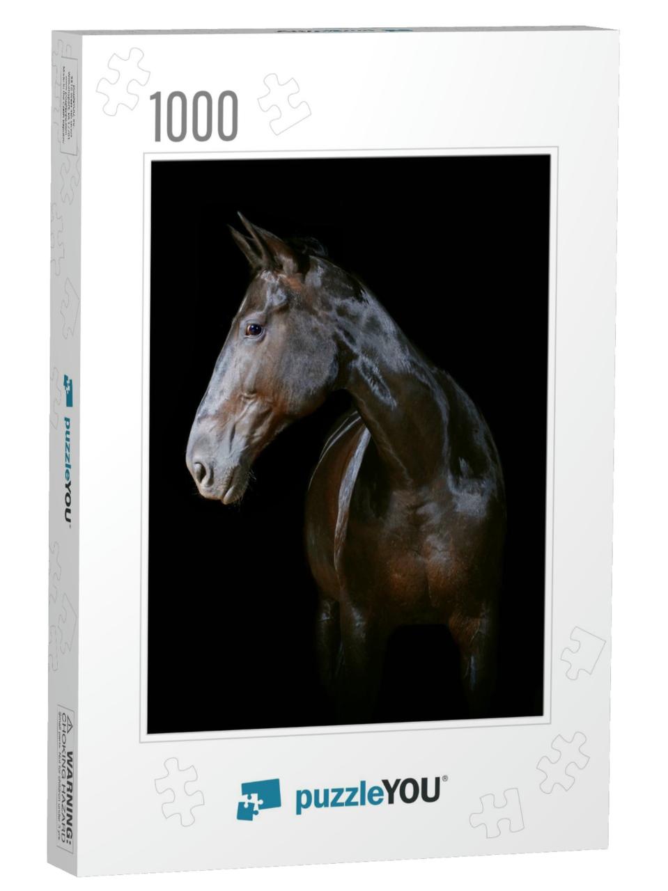 Horse Isolated on Black... Jigsaw Puzzle with 1000 pieces