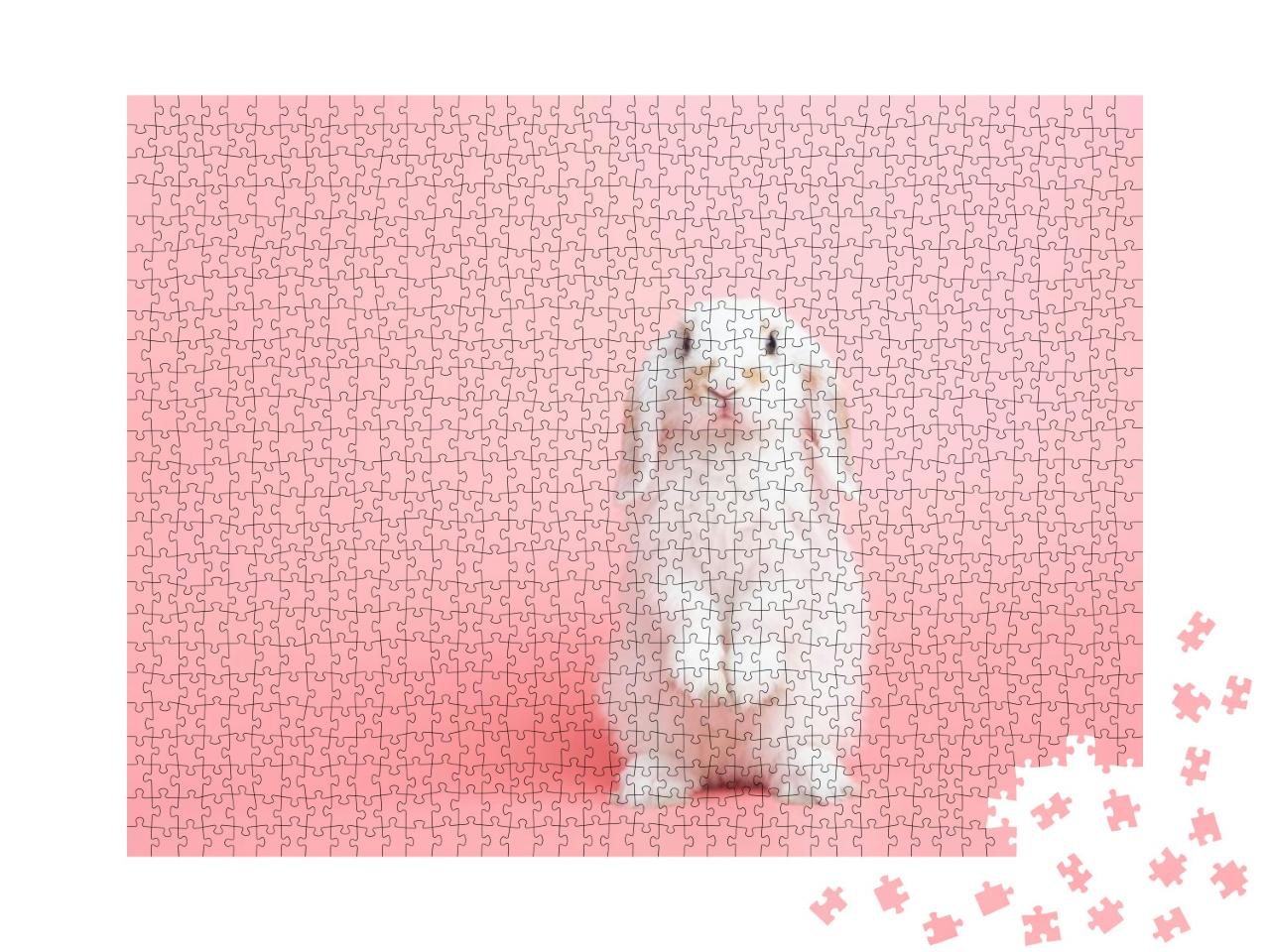 Front View of White Cute Baby Holland Lop Rabbit Standing... Jigsaw Puzzle with 1000 pieces