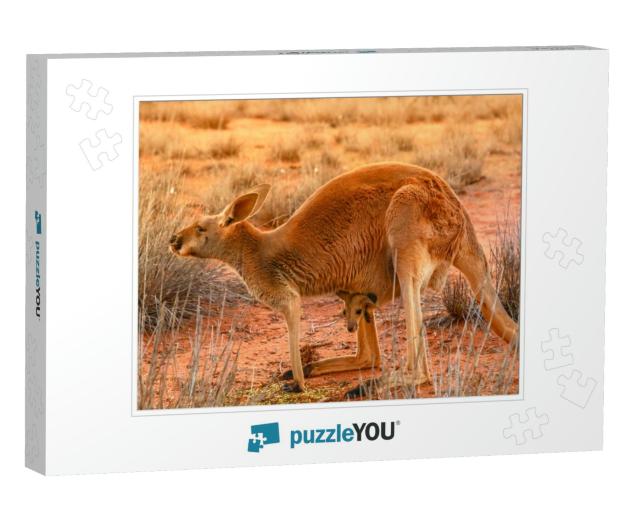 Side View of Red Kangaroo with a Joey in a Pocket, Macrop... Jigsaw Puzzle