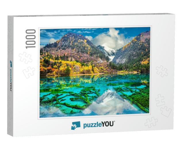 Amazing View of Crystal Clear Water of the Five Flower La... Jigsaw Puzzle with 1000 pieces