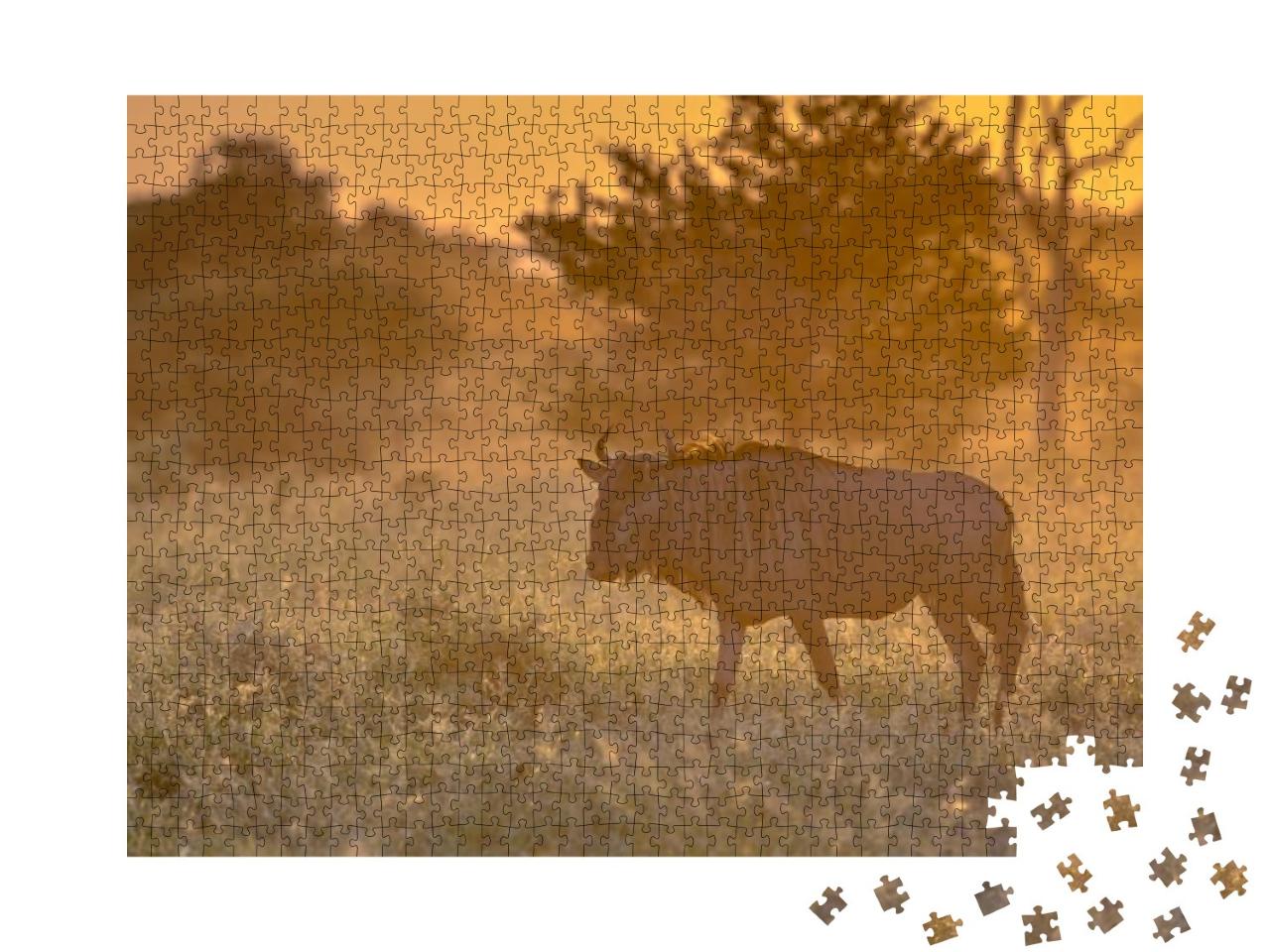 Savanna Bush Back Lit by Orange Morning Light with Common... Jigsaw Puzzle with 1000 pieces