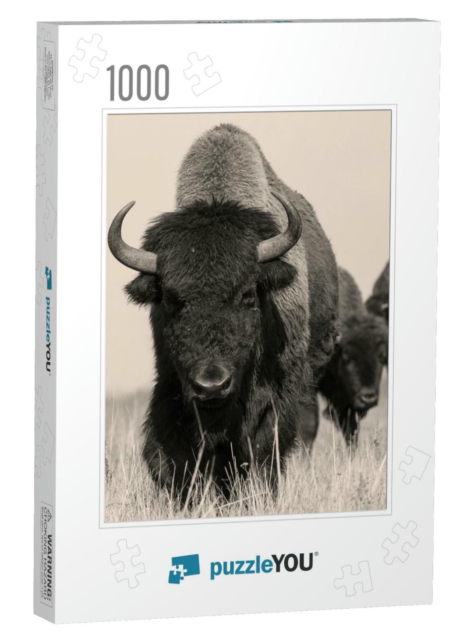 American Bison or Buffalo in Sepia. the Herd of American... Jigsaw Puzzle with 1000 pieces