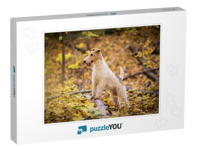 Wire-Haired Fox Terrier Autumn... Jigsaw Puzzle