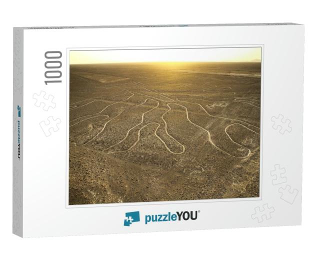 Some of the Mysterious Nazca Lines from the Observation T... Jigsaw Puzzle with 1000 pieces
