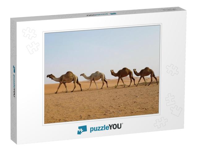 Line of Dromedary Camels Crossing the Arabian Desert in R... Jigsaw Puzzle