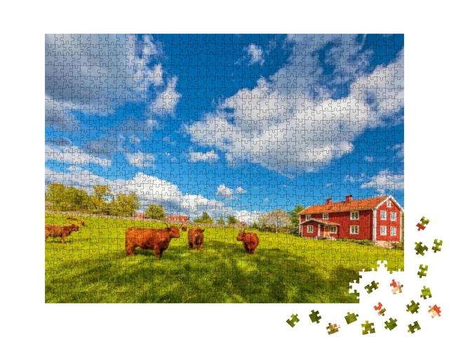 Cattle with Highland Cows in Front of Typical Old Wooden... Jigsaw Puzzle with 1000 pieces
