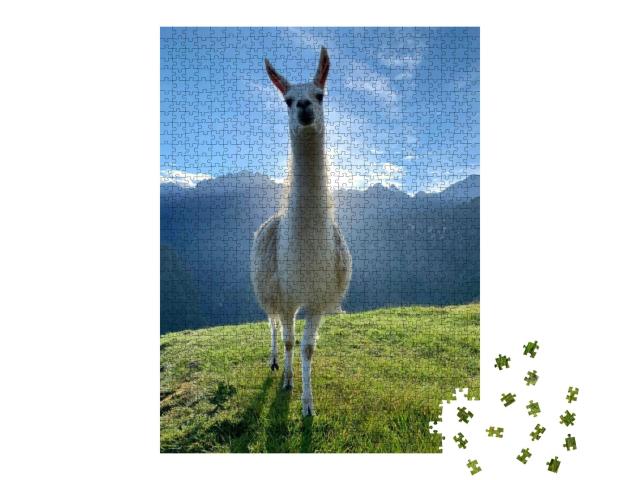 White Llama on Green Grass Lawn Terrace Machu Picchu, Bea... Jigsaw Puzzle with 1000 pieces