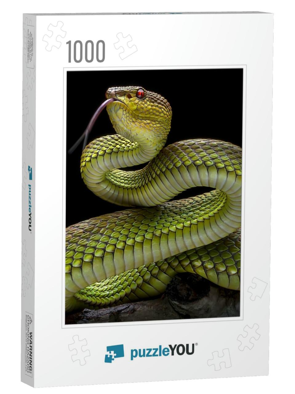 Green Goldy Skin Viper Snake 2001026 - Exotic Reptile Ani... Jigsaw Puzzle with 1000 pieces