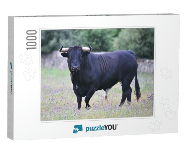 Bull in Spain in the Green Field... Jigsaw Puzzle with 1000 pieces