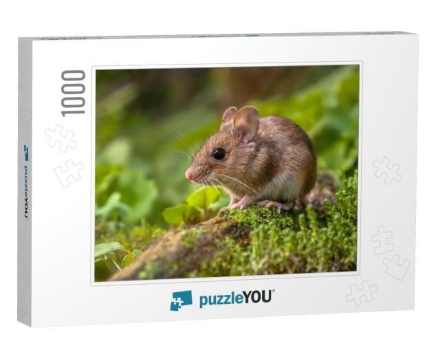 Wild Wood Mouse Resting on a Stick on the Forest Floor wi... Jigsaw Puzzle with 1000 pieces