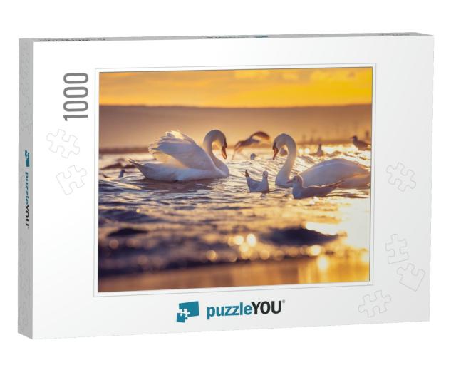 White Swans in the Sea, Sunrise Shot... Jigsaw Puzzle with 1000 pieces