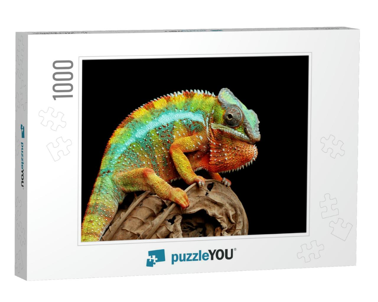 Beautiful of Chameleon Panther, Chameleon Panther on Bran... Jigsaw Puzzle with 1000 pieces